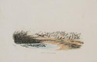 Hunting the Blesbok