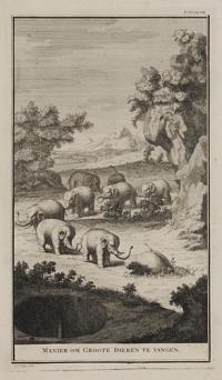 Manier im Groote Dieren te Vangen.