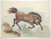 [Horse Jumping.]