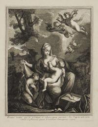 Beatus venter qui te portauit et ubera quae succisti. Luc. Cap. XI. art XXVII.