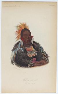 Wah-ro-nee-sah. The Surrounder, An Ottoe Chief.