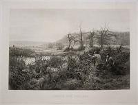 Chasse Aux Canards.