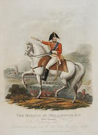 The Marquis of Wellington, K.G.