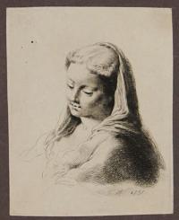 [Madonna with a veil]