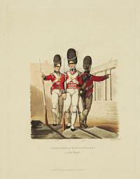 Grenadier of the Foot Guards. in full Dress.