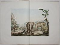 [Elephants and Camels]