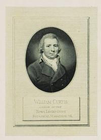 William Curtis