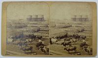 Stock Yards Chicago [pencil on reverse.]