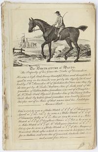 [38 Plates from 'The Sportsman's Pocket Companion, being a striking likeness or portraiture of the most eminent Racehorses and Stallions...'.]