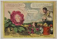 The Full-Blown Rose, and Petty Mushroom!!