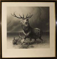 [The Stag at Bay.]