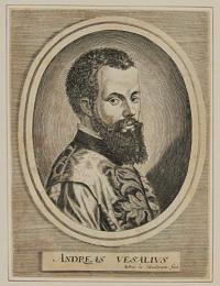 [Andreas van Wesel] Andreas Vesalius.