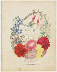Flora's Dictionary [Frontispiece]