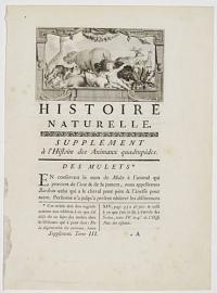 Histoire Naturelle. Suppl&eacute;ment &agrave; l'Histoire des Animaux quadrup&egrave;des. Des Mulets.