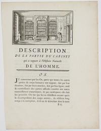 [A specimen cabinet.] Description de la Partie du Cabinet qui a rapport à l'Histoire Naturelle de l'Homme.