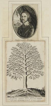 [Portrait of Oliver Cromwell, with olive tree inscribed with names complimentary to Cromwell]