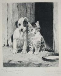 [Puppy & kitten.]