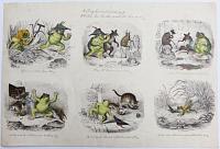 A Frog he would a wooing go...