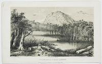 Illawarra, a Salt Lagoon.