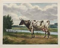[Cow.]