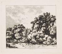 [Forest landscape]