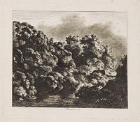 [Forest landscape]