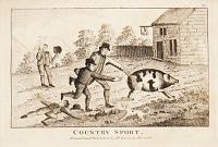 Country Sport