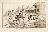Country Sport.