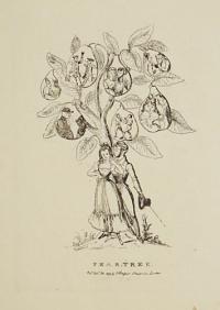 Pear-Tree.