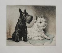[Scottie & West Highland Terrier.]
