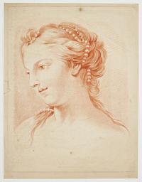 [Head of a young woman]