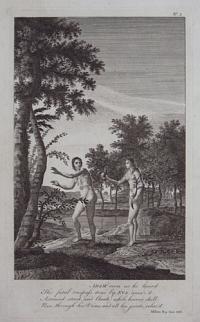 [Adam and Eve eating the forbidden Fruit.]
