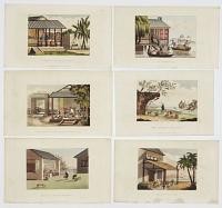[Six plates of tea production.]