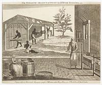 The Tobacco-Manufactory in different Branches.