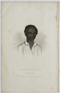 Australian Race. Willilnga. A Native of the Interior of Australia.