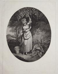 [A Village Girl Gathering Nuts.]