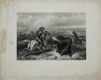 [Hunting Buffaloes.]