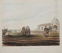 Shipping Hides at the Custom House.