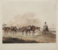 Convoy of Wine Mules.