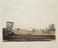 Travelling Wagon in a Pontano (Morass).