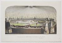 Vue int&eacute;rieure de la Serre Victoria, dans l'Etablissement Van Houtte. VII, 654-5b.