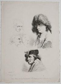 [A Collection of Studies.]