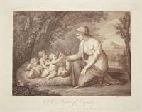 A Nest of Cupids.
