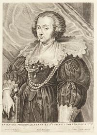Ernestina Princeps Ligneana et S. Imperii Comes Nassavia Etc.