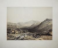 Run with the 7th Dragoon Fox Hounds in Caffir Land, Cape of Good Hope.