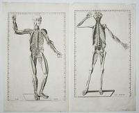 [Diagrams of the Human Body.]