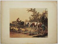 [Cows and Sheep.] No.2.