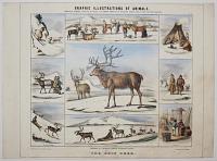 Graphic Illustrations Of Animals, Shewing Their Utility To Man, In Their Services During Life And Uses After Death.