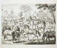 [The Duke of Newcastle's stud.]