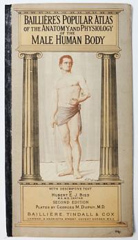 Bailli&egrave;re's Popular Atlas of the Anatomy and Physiology of the Male Human Body.